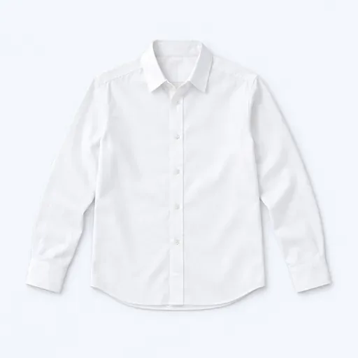 la chemise: shirt