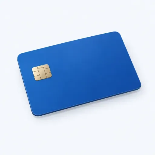 la carte bancaire: 银行卡