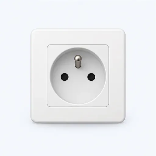 la prise: socket