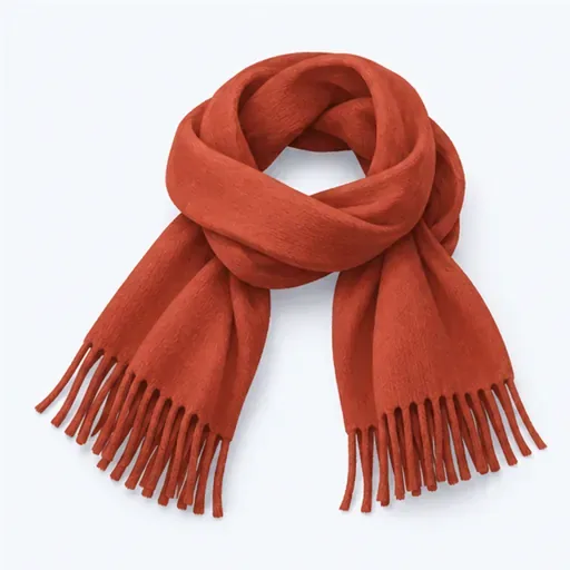 l'écharpe: scarf