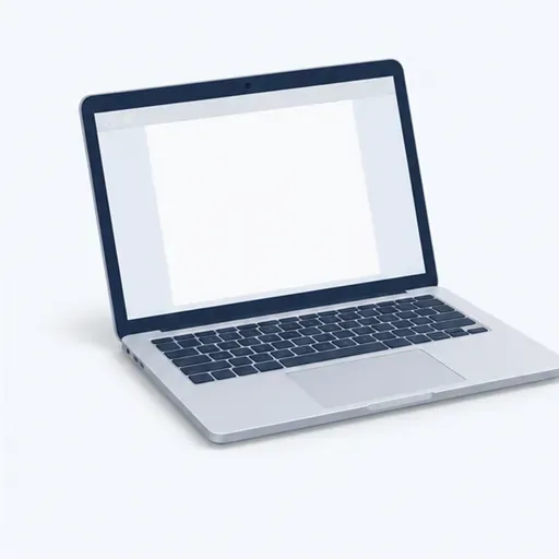 l’ordinateur: computer