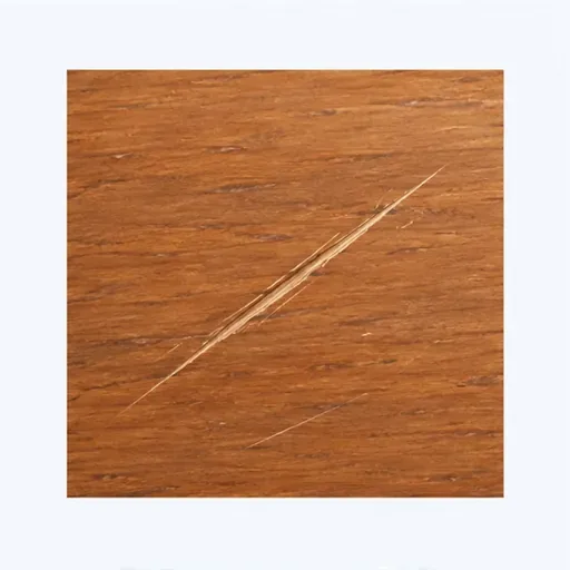 la rayure: scratch