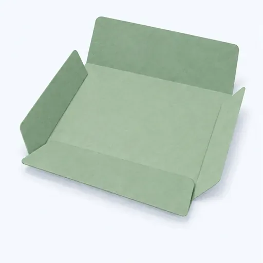 une chemise cartonnée: a card document folder