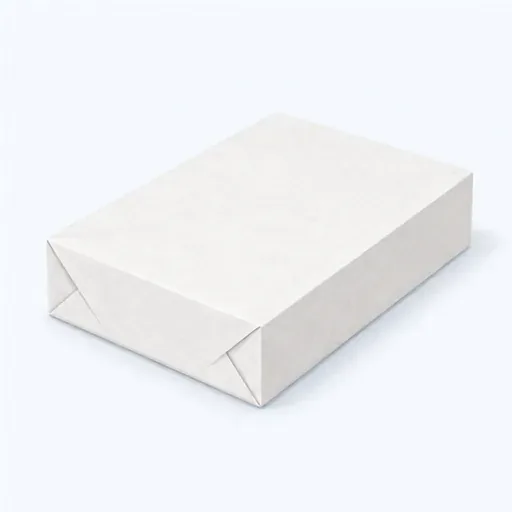 du papier: paper