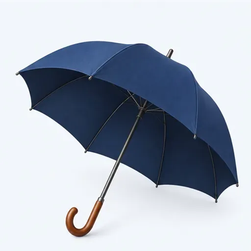 un parapluie: un paraguas