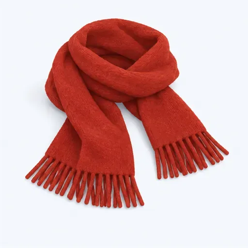 une écharpe: scarf