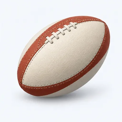 le ballon de rugby: rugby ball