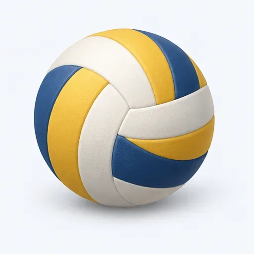 le ballon de volley: volleyball