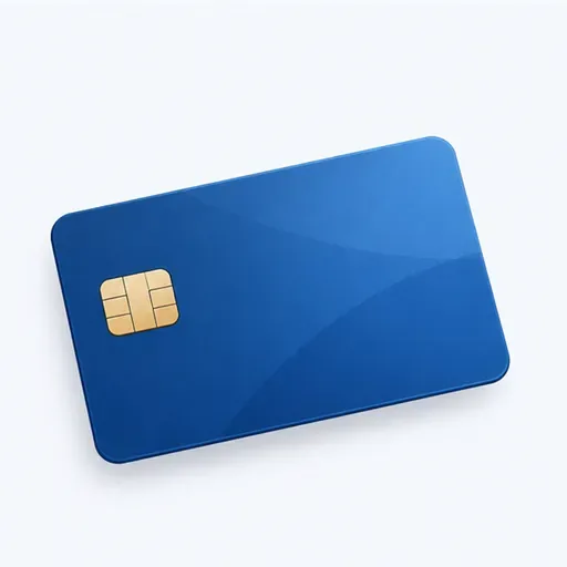 la carte bancaire: bank card