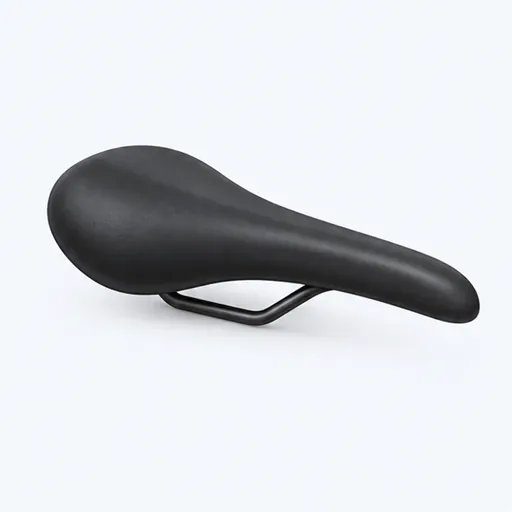la selle: saddle