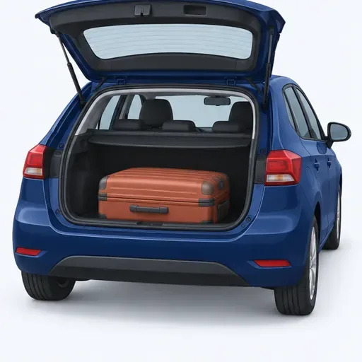le coffre: 后备箱