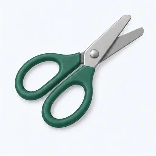 les ciseaux (m.): scissors
