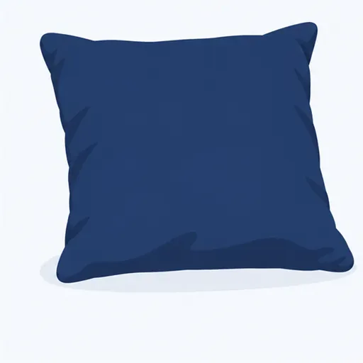le coussin: 靠垫