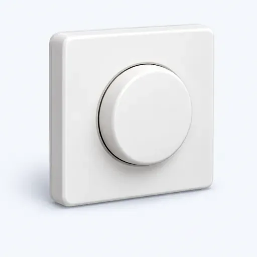 le bouton-poussoir: push-button switch
