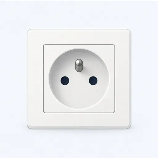 la prise murale: wall socket