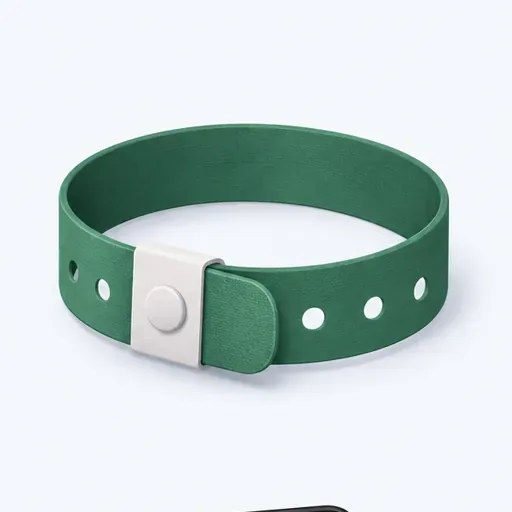 un bracelet: a wristband