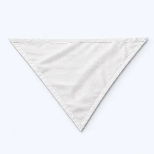le bandage triangulaire: triangular bandage