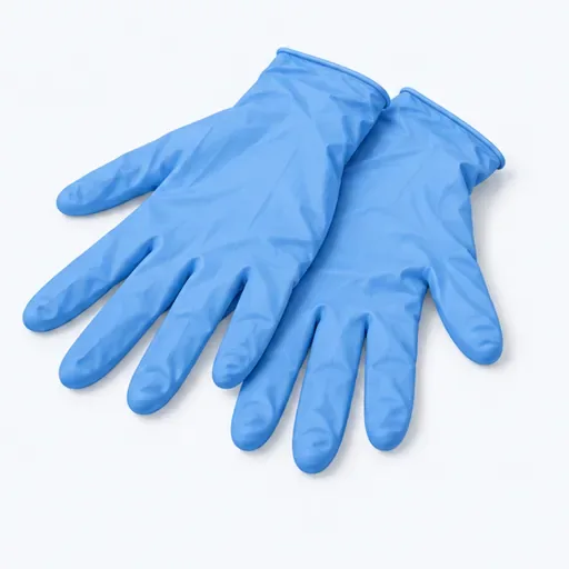 les gants jetables (m.): disposable gloves
