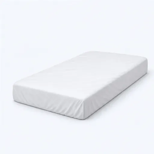 le matelas: 床垫