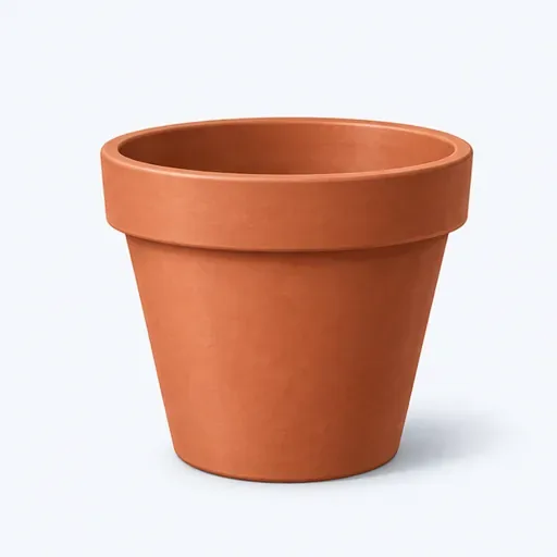 le pot de fleurs: 花盆