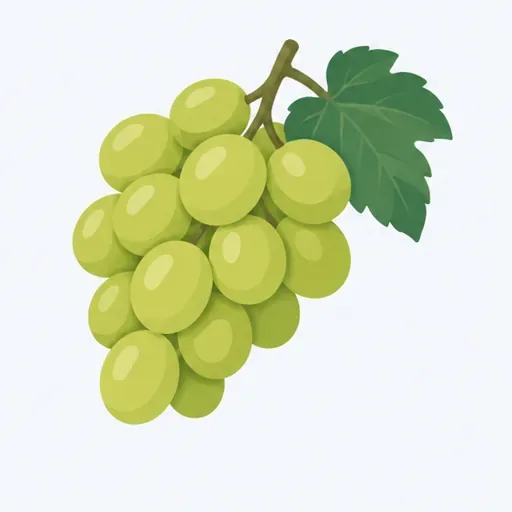 le raisin: grapes