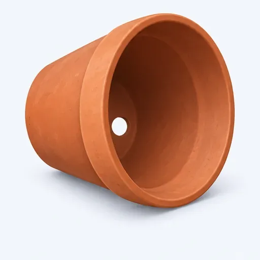 le pot: plant pot