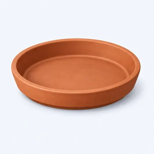 la soucoupe: plant saucer