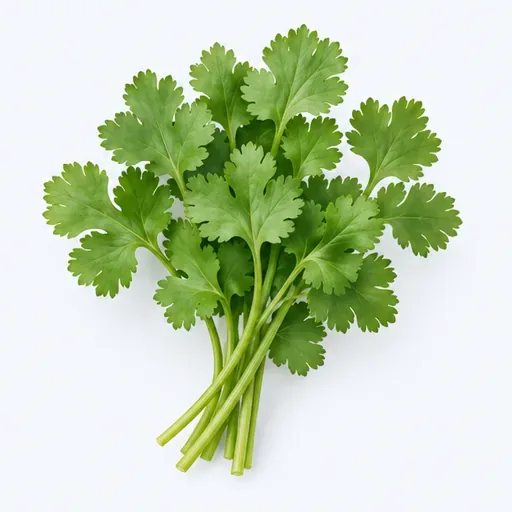 la coriandre: 香菜