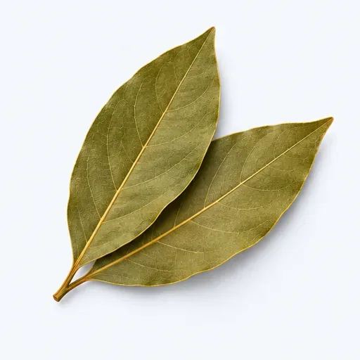 le laurier: 月桂叶