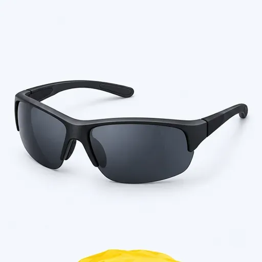 les lunettes de soleil (f. pl.): sunglasses