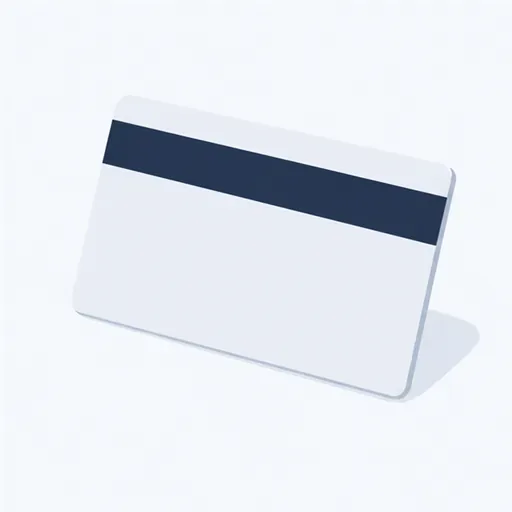 la carte magnétique: key card