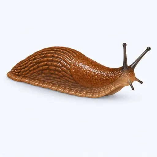 la limace: slug