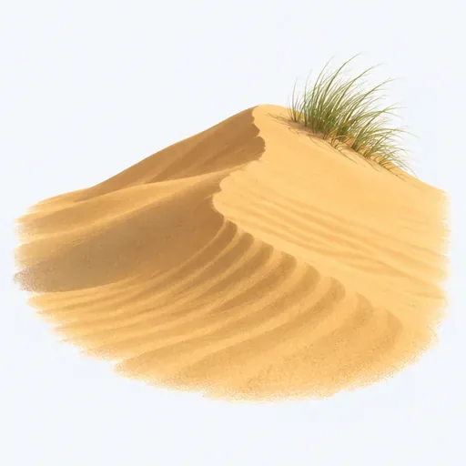 la dune: sand dune