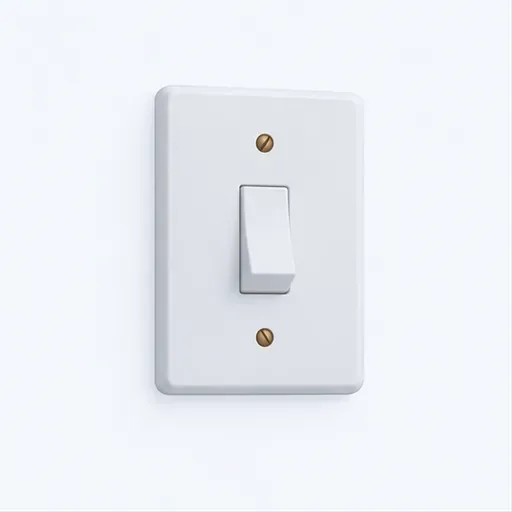 l'interrupteur (m.): switch