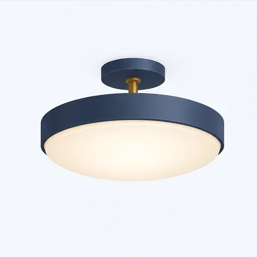le plafonnier: ceiling light