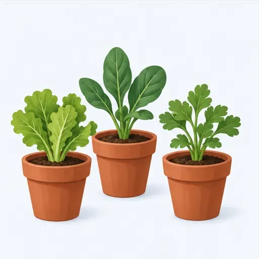 les plantes: 植物