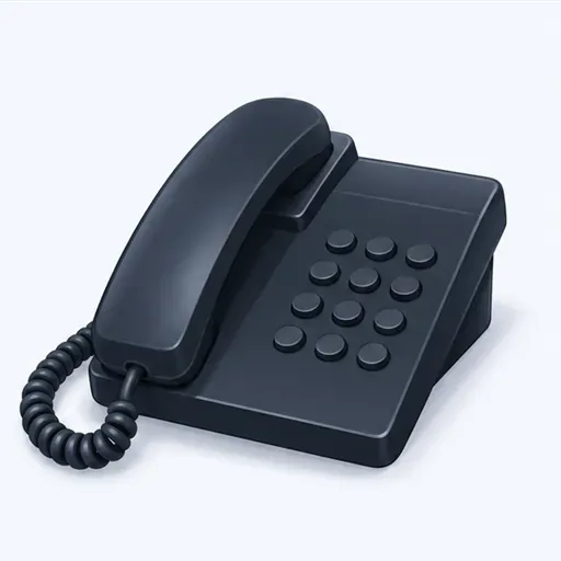 le téléphone: teléfono