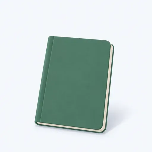 un carnet vert: 一本绿色笔记本