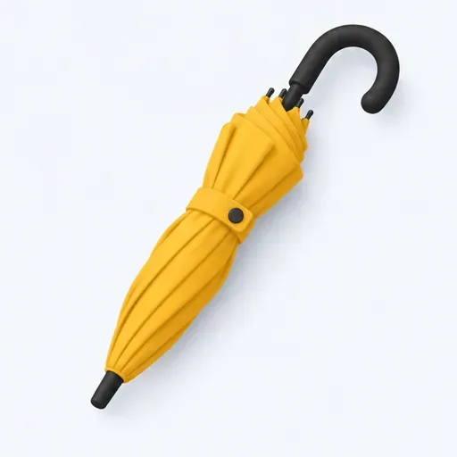 un parapluie trouvé: 一把被捡到的雨伞