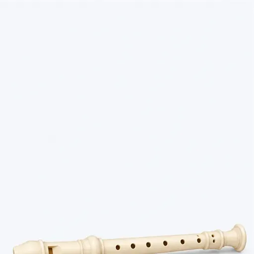 la flûte à bec: recorder