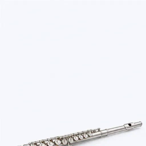la flûte traversière: flute