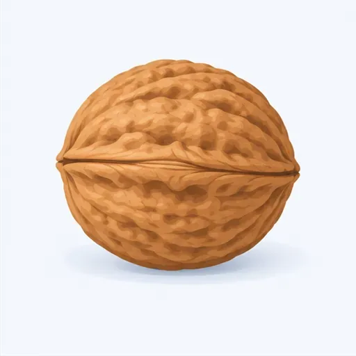 une noix: 一颗核桃