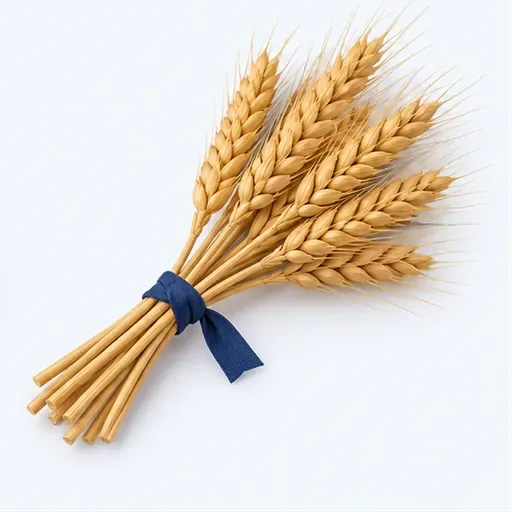 le blé: wheat