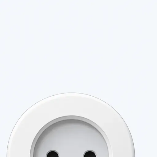 la prise électrique: power socket