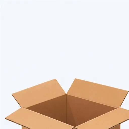 le carton: 纸箱