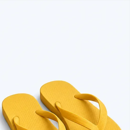 une paire de tongs: a pair of flip-flops