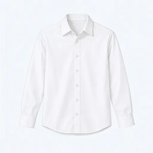 une chemise: a shirt