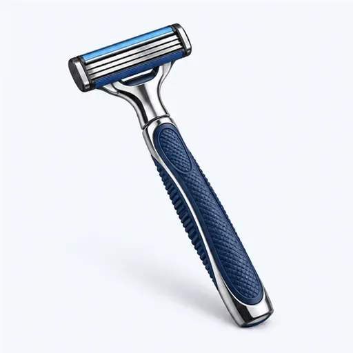 le rasoir: razor