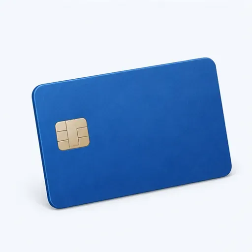 la carte bancaire: bank card