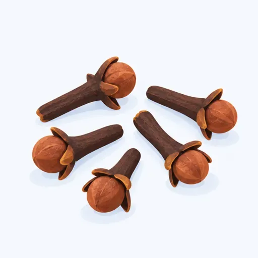 le clou de girofle: clove